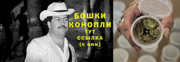 прущие грибы Нея