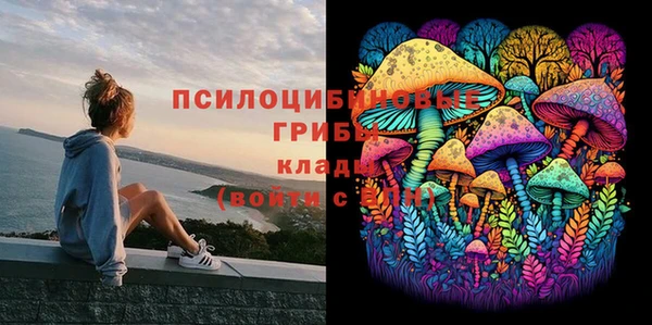 марихуана Нефтекумск
