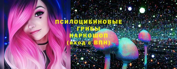 прущие грибы Нея
