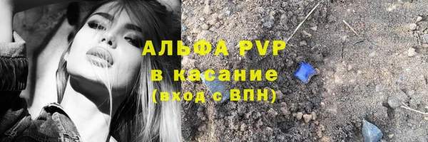 прущие грибы Нея