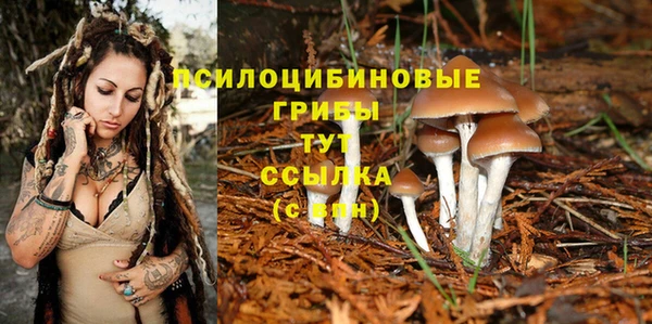 прущие грибы Нея