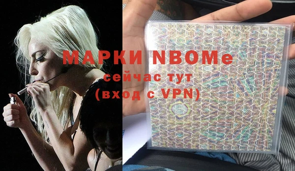 прущие грибы Нея