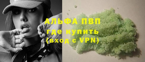 прущие грибы Нея