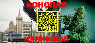 индика Комсомольск-на-Амуре
