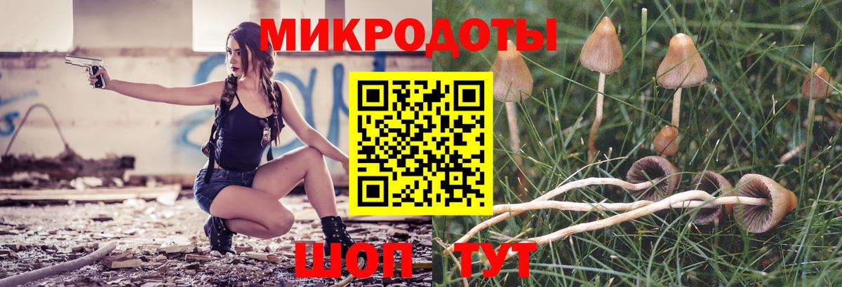 Галлюциногенные грибы прущие грибы Элиста