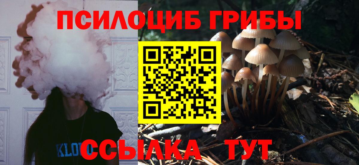 Элиста  наркота  Вход с VPN  Псилоцибиновые грибы прущие грибы 